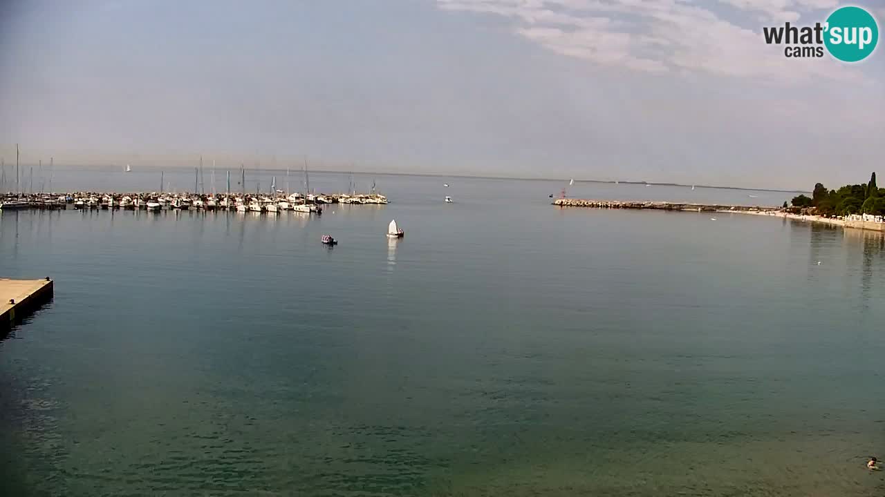 Webcam Sistiana Bucht – Liveblick auf Marina und Bucht