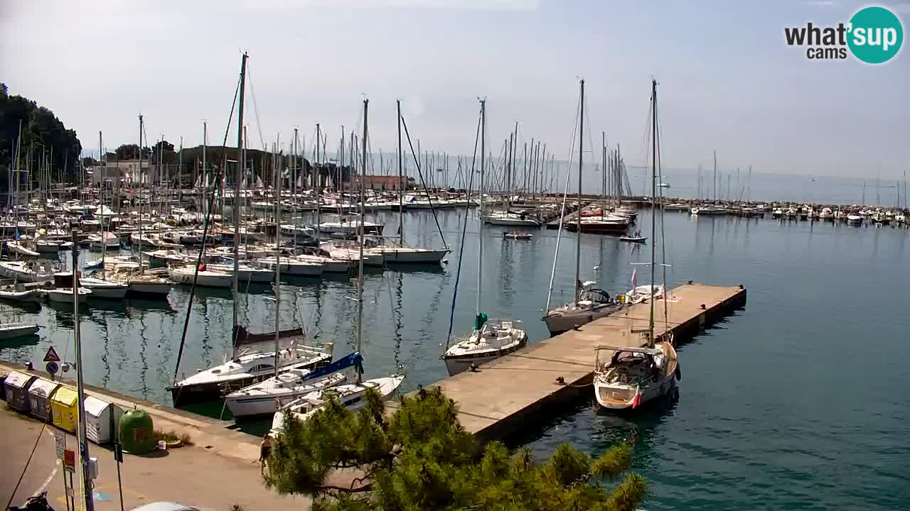 Webcam Baie de Sistiana – Vue en direct de la marina et de la baie