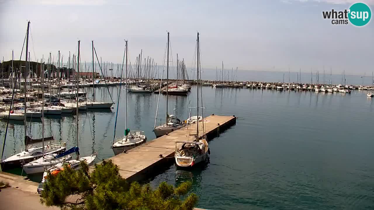 Webcam Sistiana Baia – Live View of the Marina and Gulf