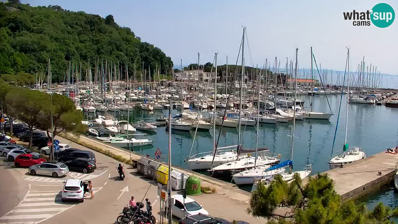 Webcam Sistiana Baia – Live View of the Marina and Gulf