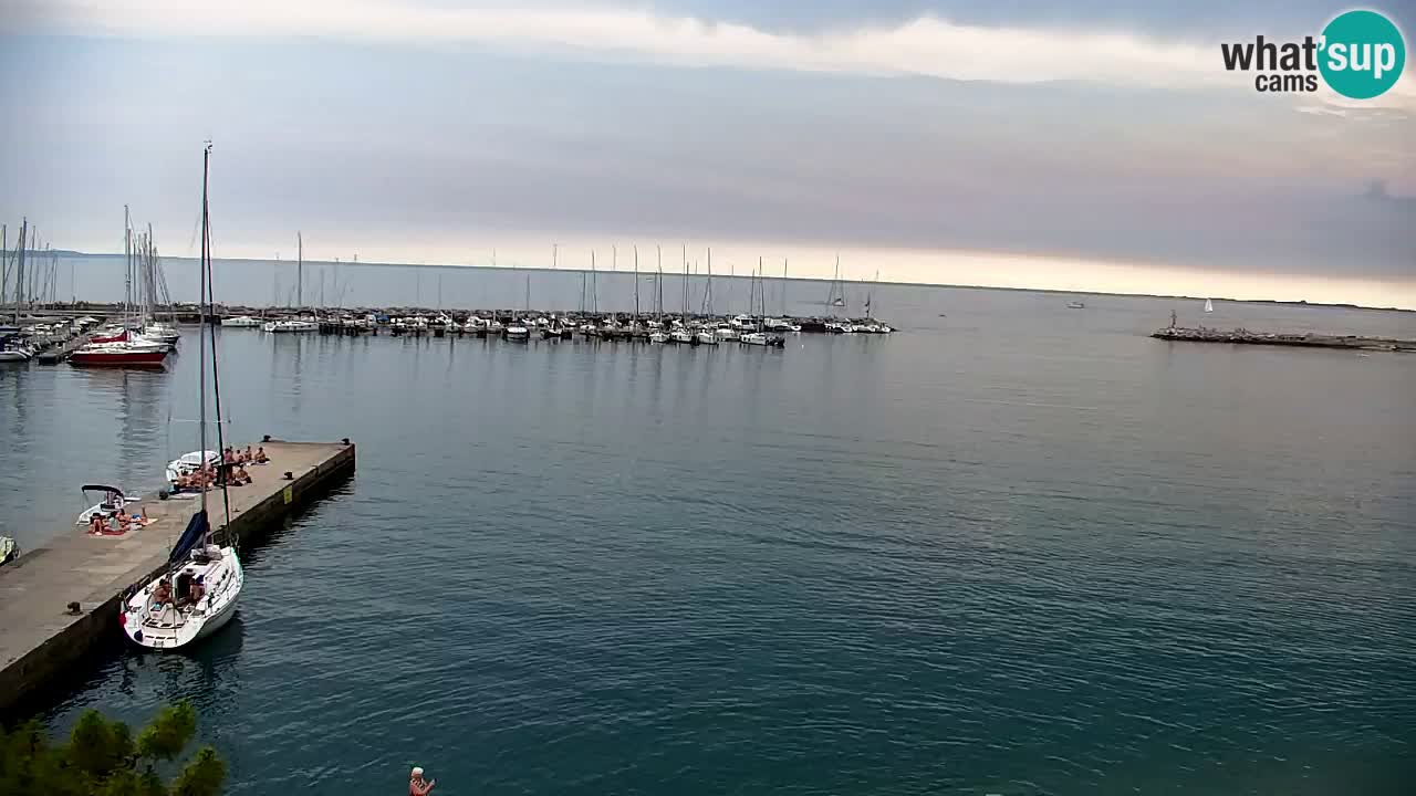Webcam Baie de Sistiana – Vue en direct de la marina et de la baie