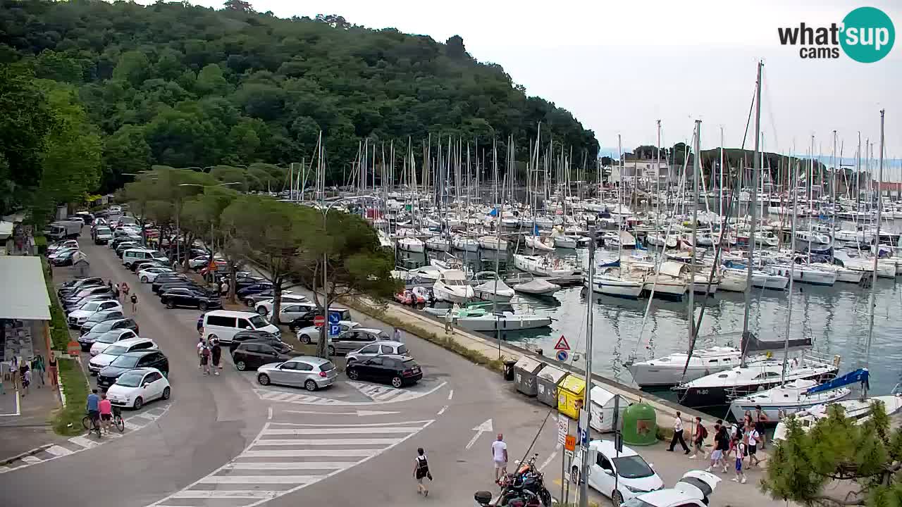Webcam Sistiana Baia – Live View of the Marina and Gulf