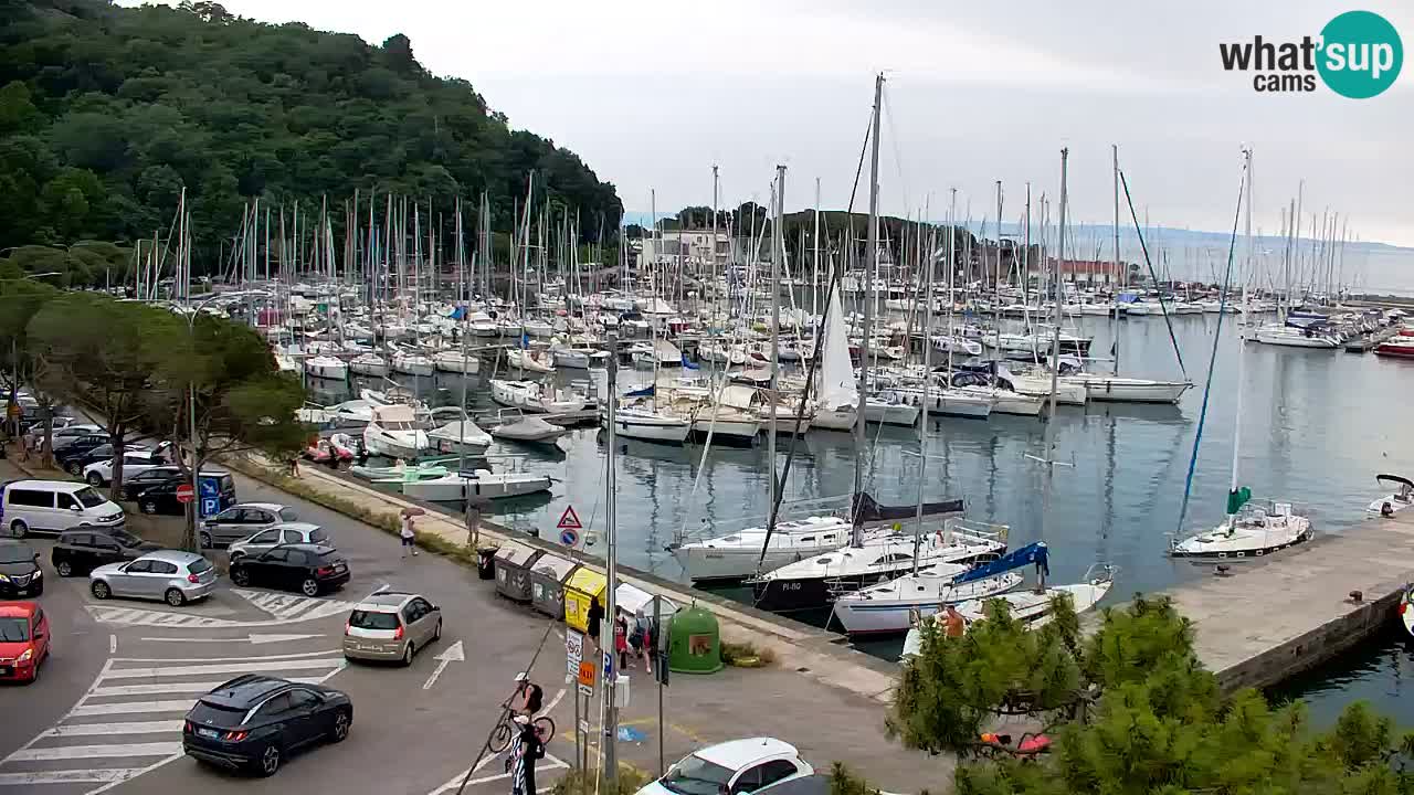 Webcam Sistiana Baia – Live View of the Marina and Gulf