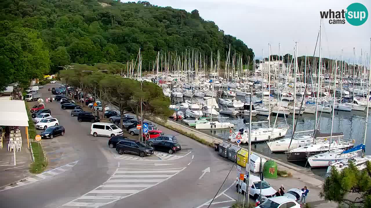 Webcam Sistiana Baia – Live View of the Marina and Gulf