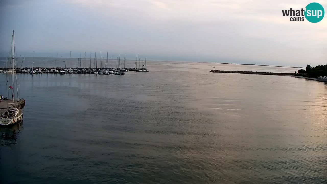Webcam Baie de Sistiana – Vue en direct de la marina et de la baie