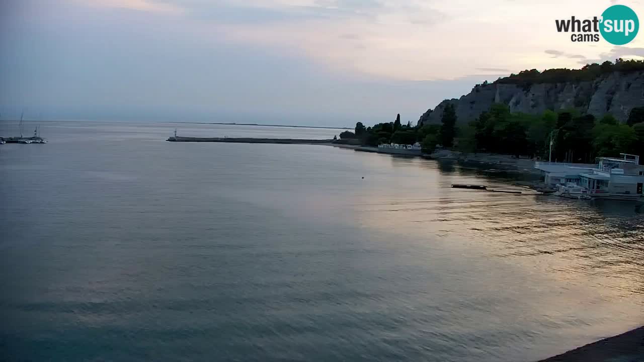 Webcam Sistiana Baia – Live View of the Marina and Gulf