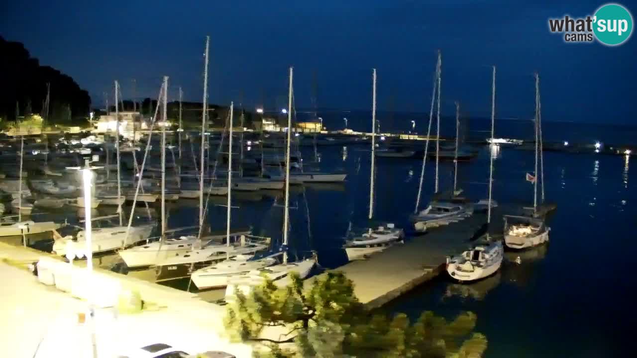Webcam Sistiana Baia – Live View of the Marina and Gulf