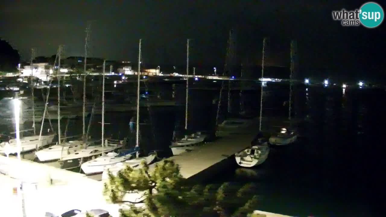 Web kamera Sistiana Uvala – Pogled uživo na marinu i zaljev