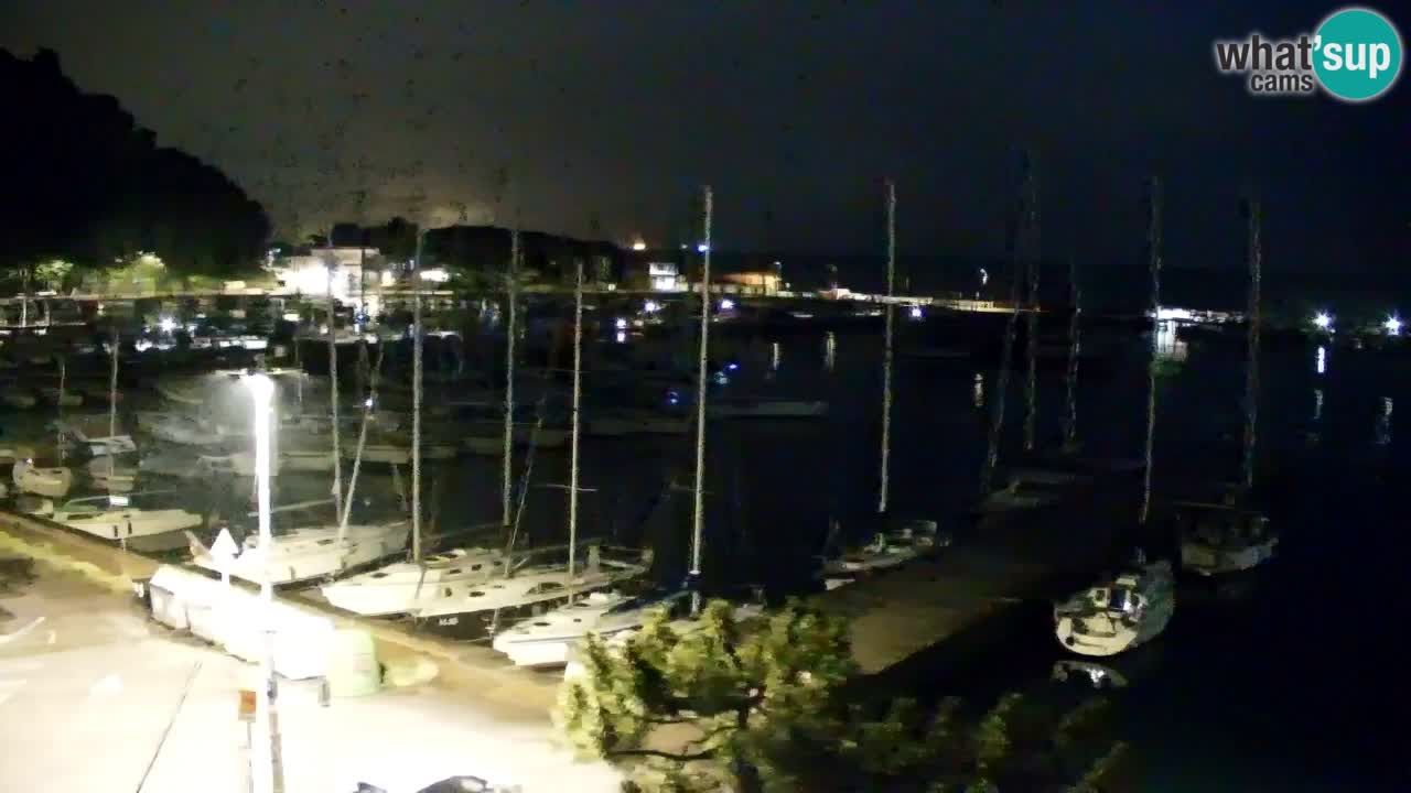 Webcam Sistiana Baia – Live View of the Marina and Gulf