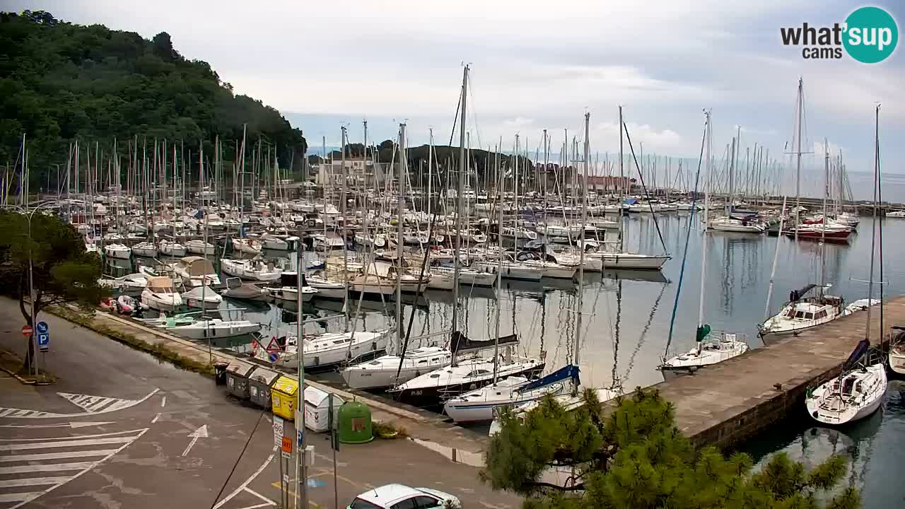 Webcam Sistiana Baia – Live View of the Marina and Gulf