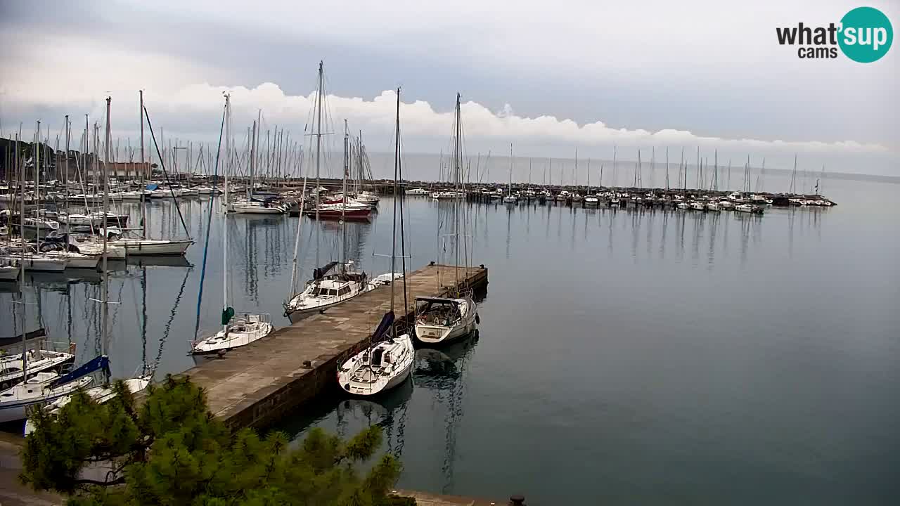 Webcam Sistiana Bucht – Liveblick auf Marina und Bucht