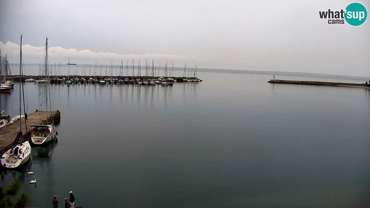 Webcam Baia di Sistiana – Marina e Golfo in diretta