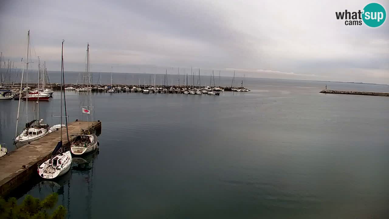 Webcam Bahía de Sistiana – Vista en directo del puerto deportivo y la costa