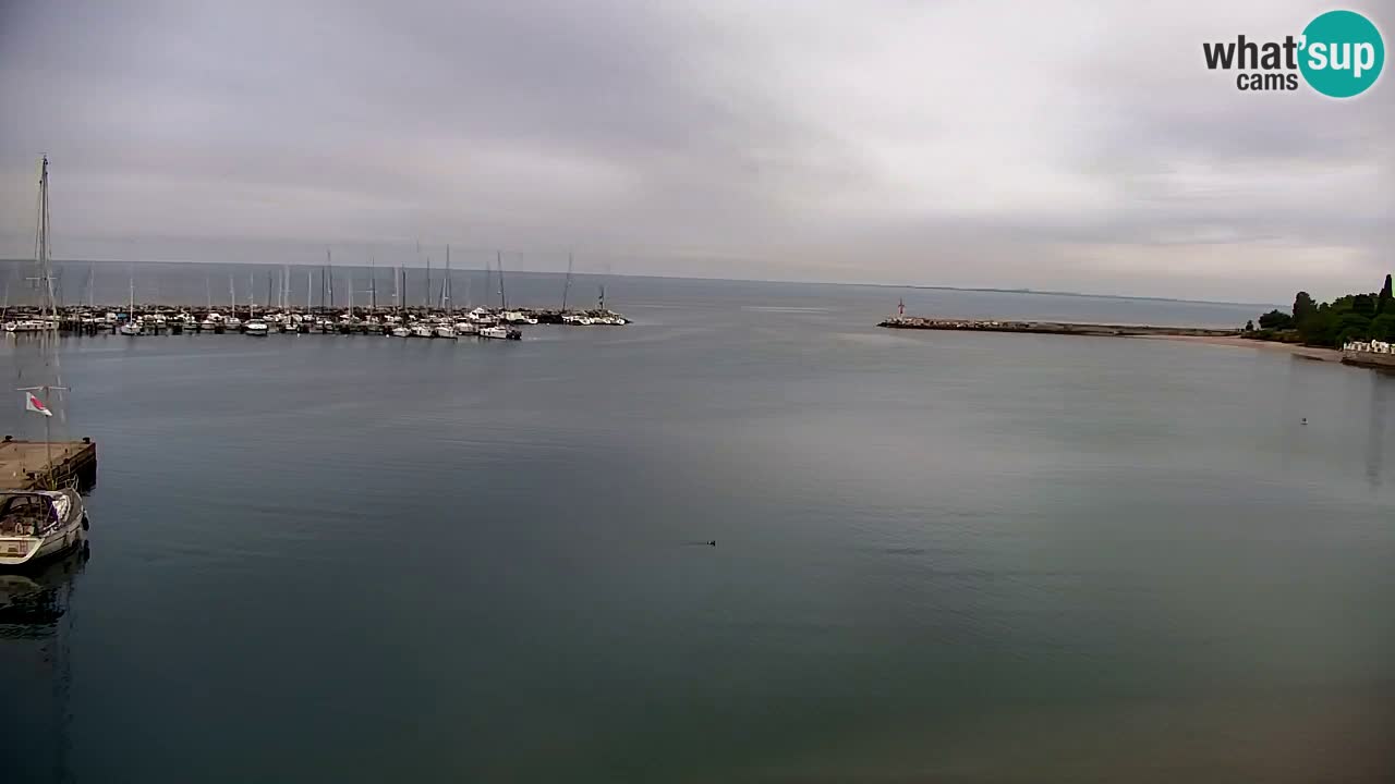 Webcam Sistiana Bucht – Liveblick auf Marina und Bucht