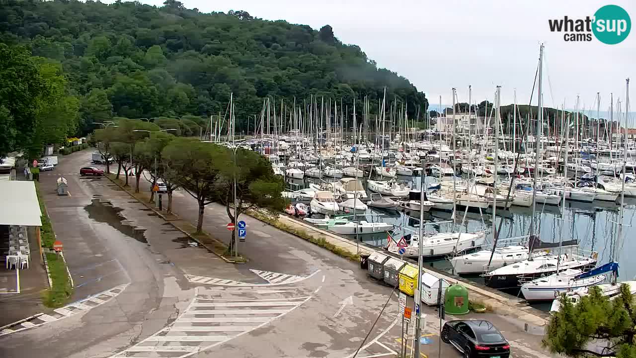 Webcam Bahía de Sistiana – Vista en directo del puerto deportivo y la costa