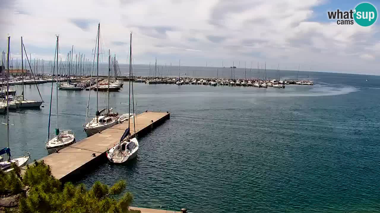 Webcam Sistiana Baia – Live View of the Marina and Gulf