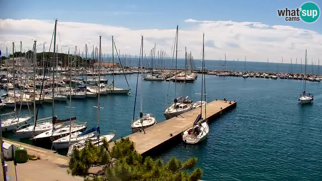 Webcam Sistiana Baia – Live View of the Marina and Gulf