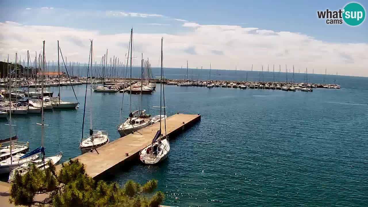 Spletna kamera Sesljanski zaliv – Pogled v živo na marino in zaliv