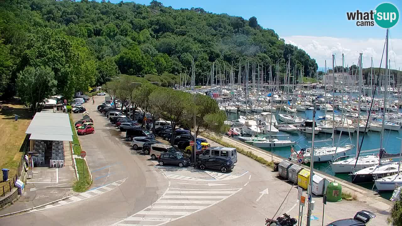 Webcam Bahía de Sistiana – Vista en directo del puerto deportivo y la costa