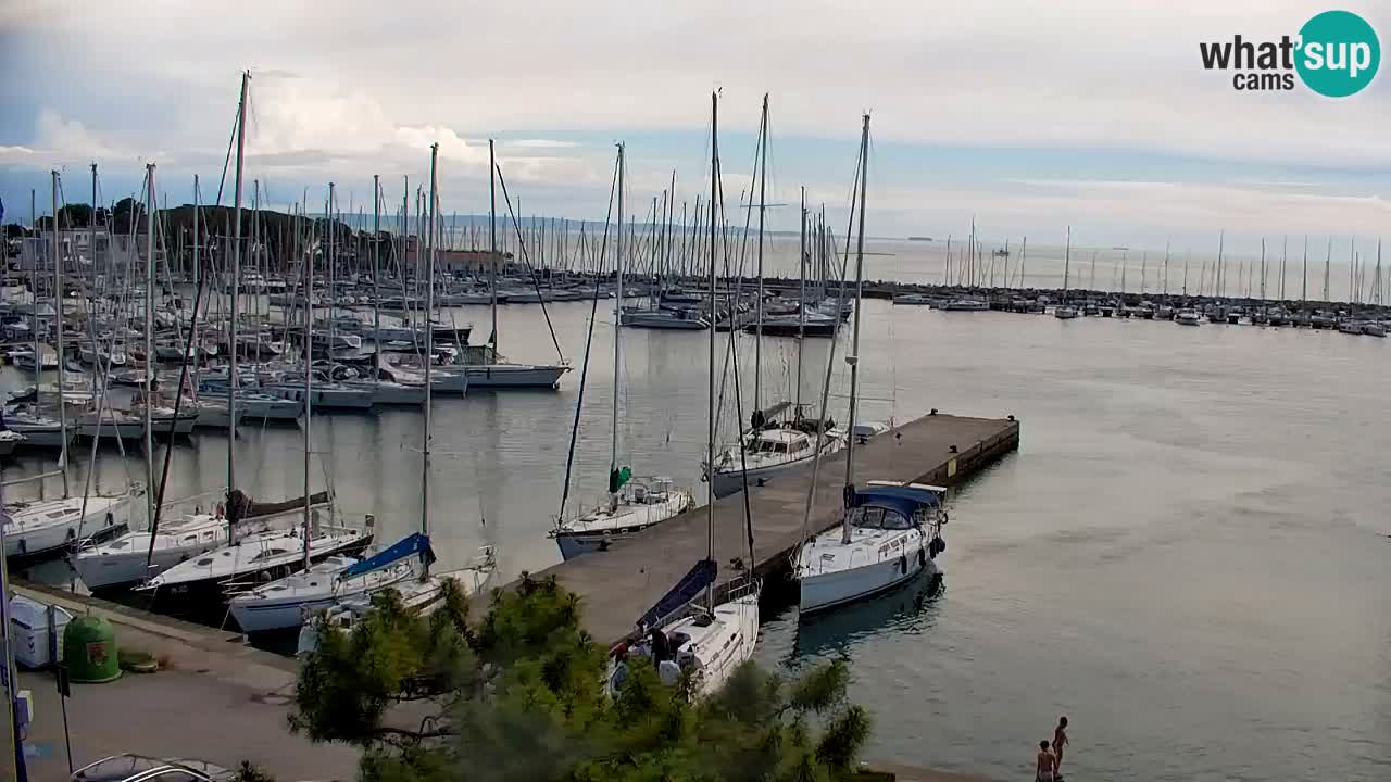 Web kamera Sistiana Uvala – Pogled uživo na marinu i zaljev
