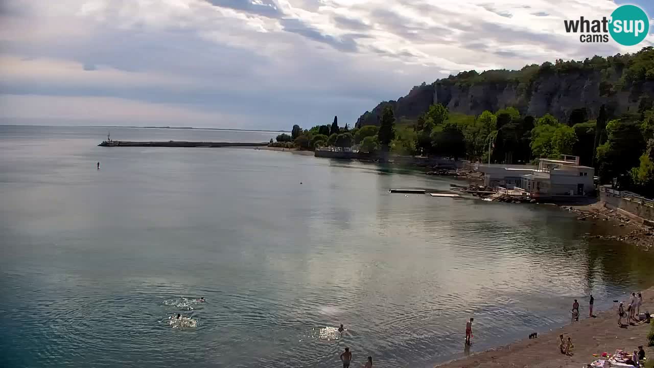 Webcam Sistiana Baia – Live View of the Marina and Gulf