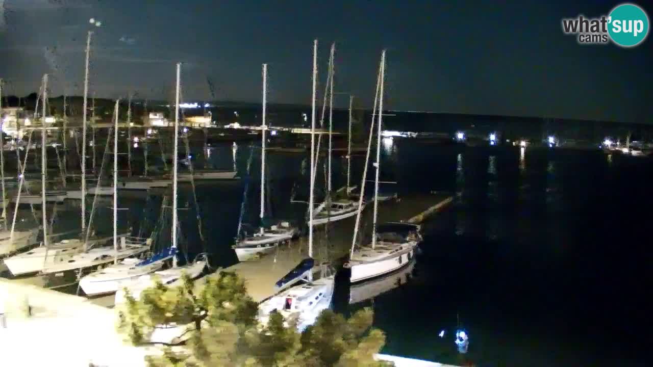 Webcam Sistiana Baia – Live View of the Marina and Gulf