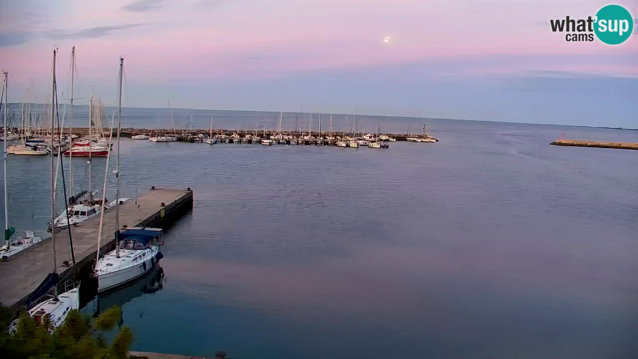 Web kamera Sistiana Uvala – Pogled uživo na marinu i zaljev