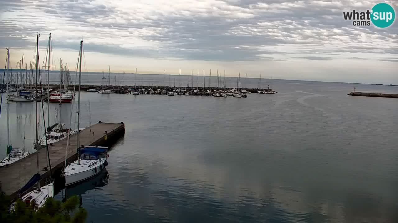 Web kamera Sistiana Uvala – Pogled uživo na marinu i zaljev