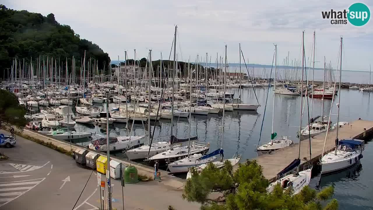 Webcam Baie de Sistiana – Vue en direct de la marina et de la baie