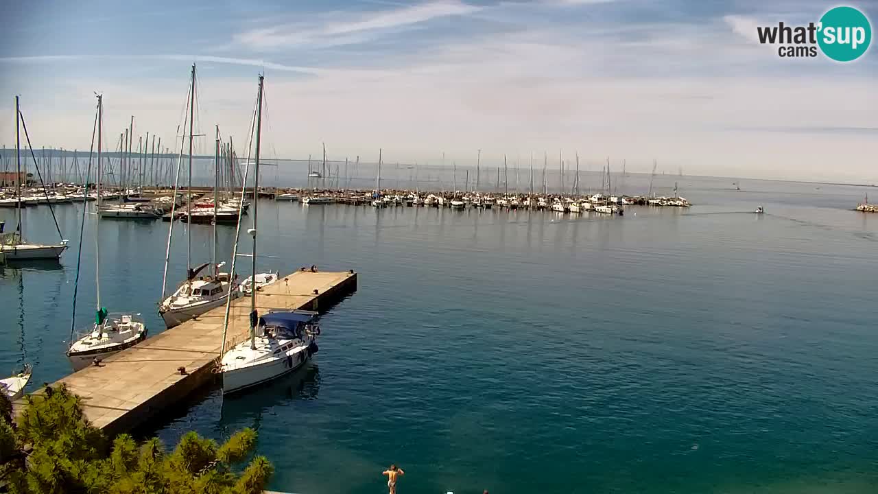 Web kamera Sistiana Uvala – Pogled uživo na marinu i zaljev