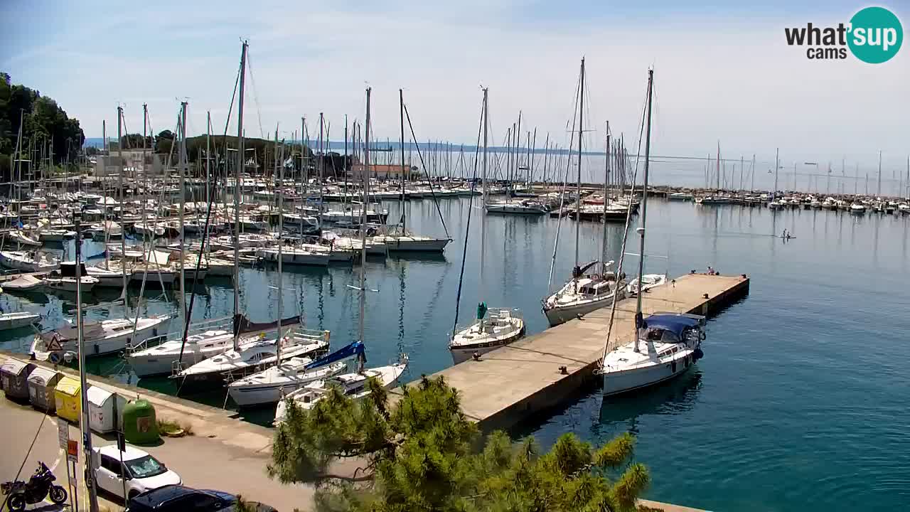 Webcam Sistiana Baia – Live View of the Marina and Gulf