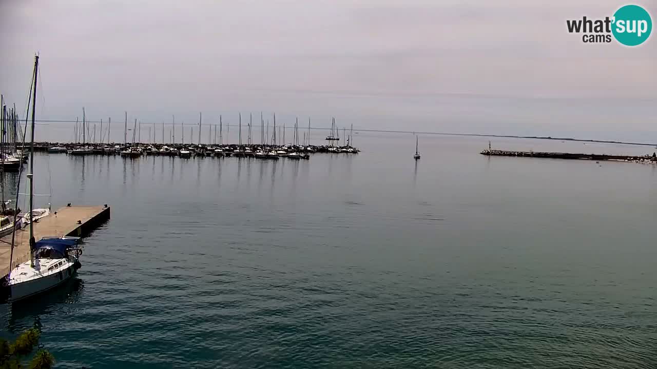 Webcam Baia di Sistiana – Marina e Golfo in diretta