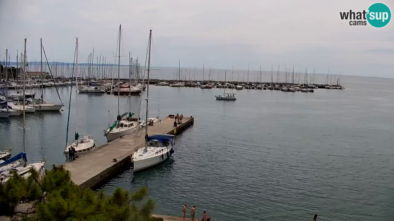 Webcam Bahía de Sistiana – Vista en directo del puerto deportivo y la costa
