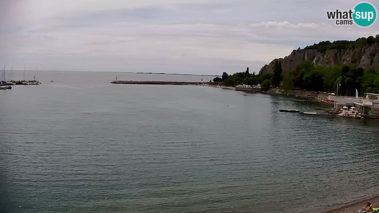 Webcam Bahía de Sistiana – Vista en directo del puerto deportivo y la costa