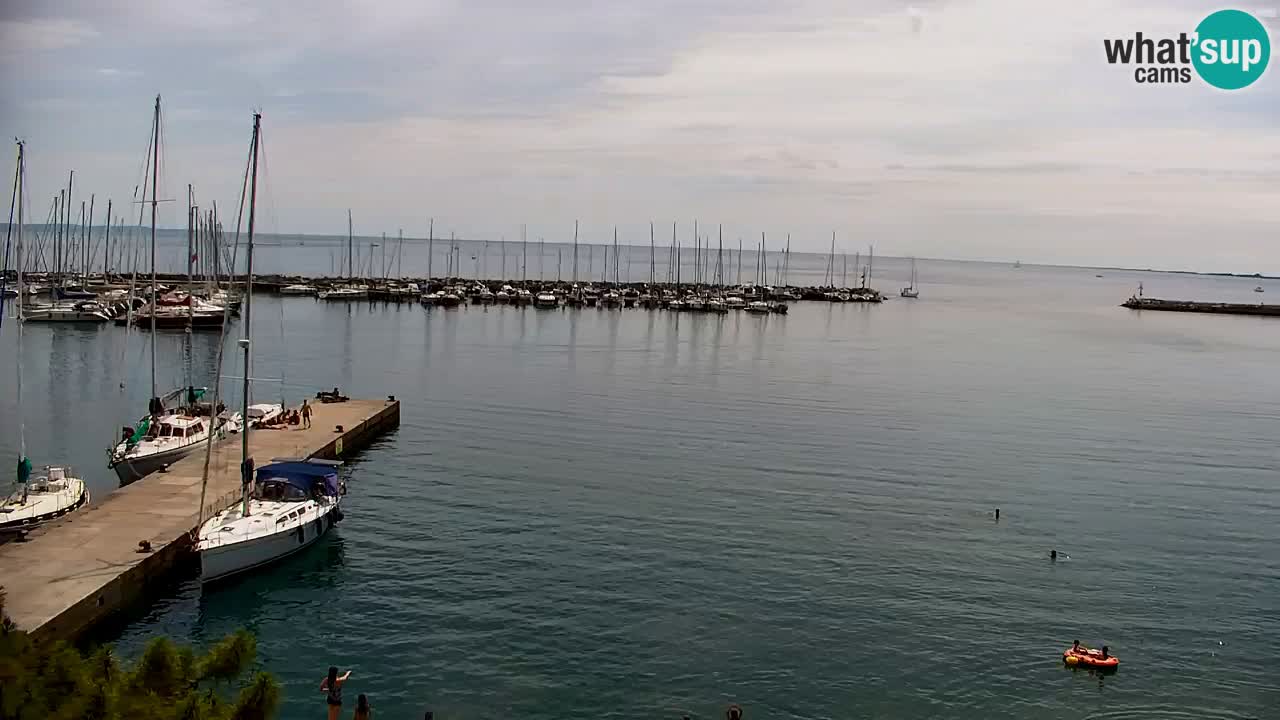 Webcam Sistiana Baia – Live View of the Marina and Gulf