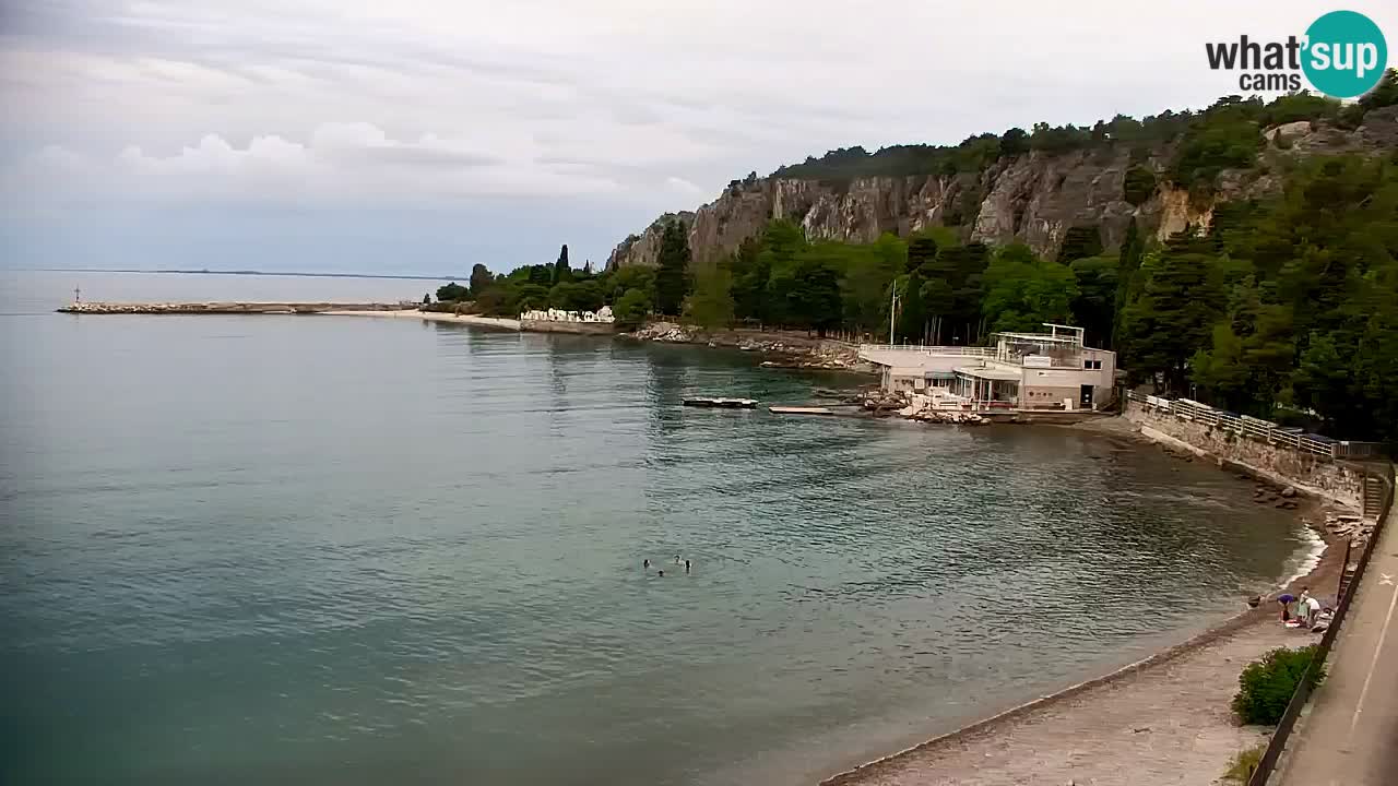 Webcam Sistiana Baia – Live View of the Marina and Gulf