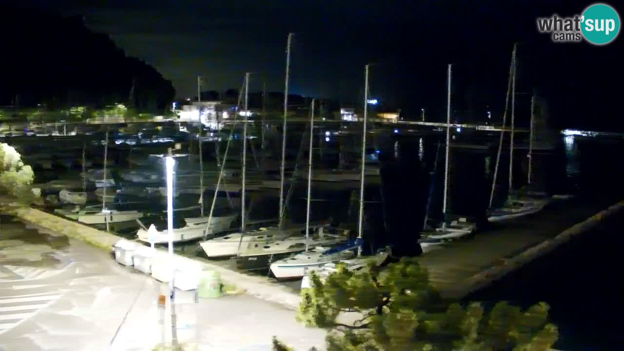 Webcam Sistiana Baia – Live View of the Marina and Gulf
