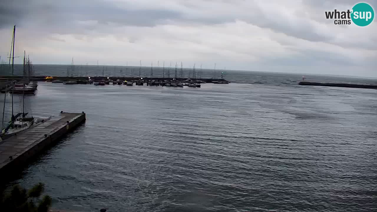 Webcam Bahía de Sistiana – Vista en directo del puerto deportivo y la costa