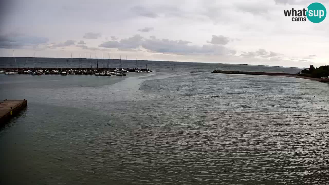 Webcam Bahía de Sistiana – Vista en directo del puerto deportivo y la costa