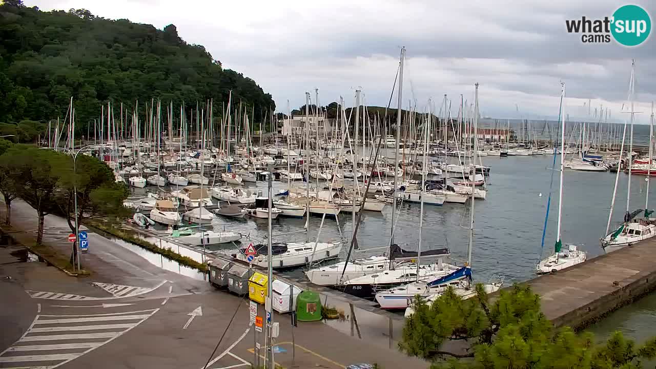 Webcam Sistiana Baia – Live View of the Marina and Gulf