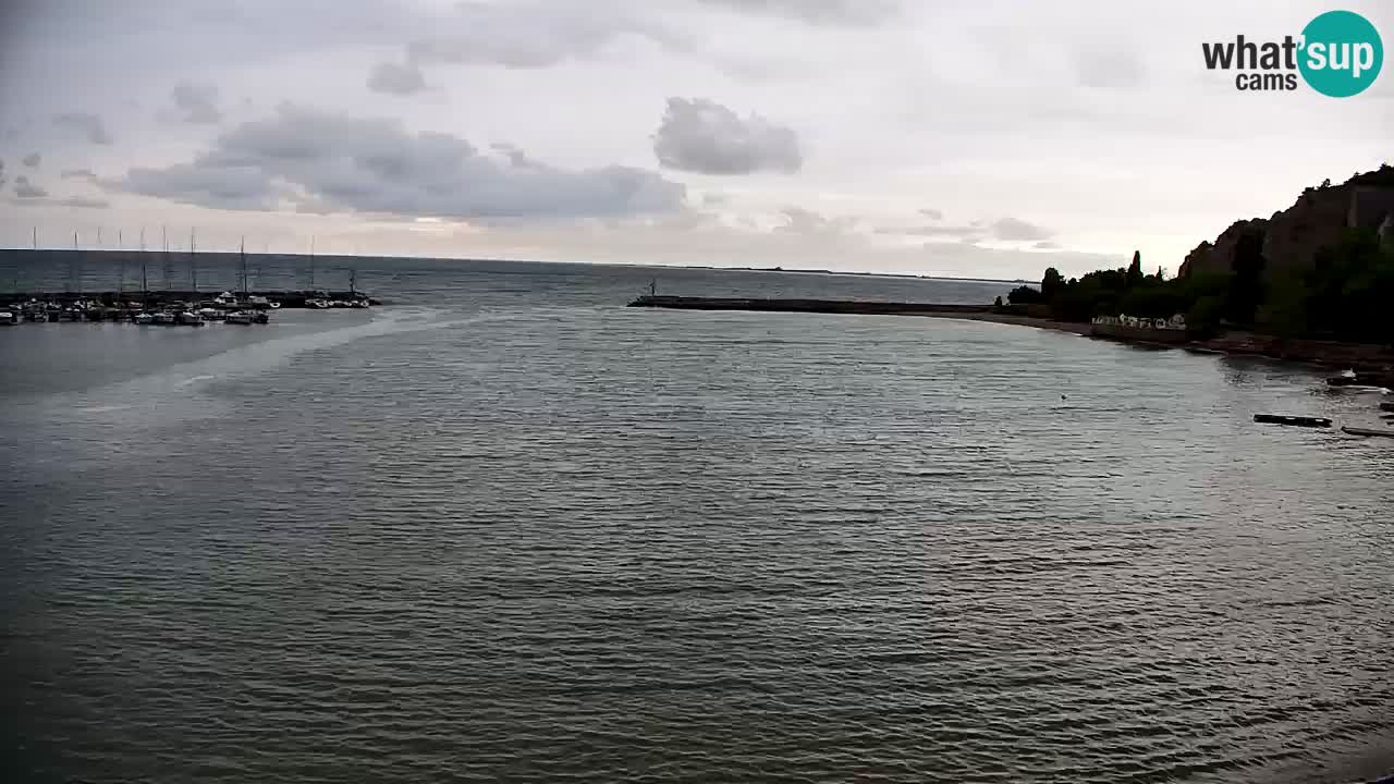 Webcam Sistiana Baia – Live View of the Marina and Gulf