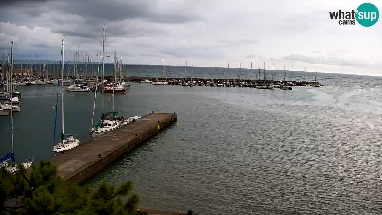 Webcam Sistiana Baia – Live View of the Marina and Gulf