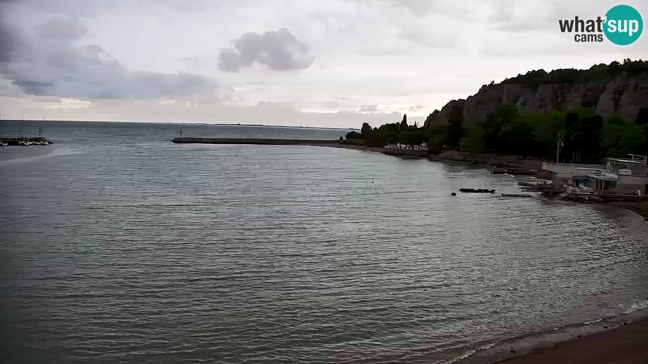Spletna kamera Sesljanski zaliv – Pogled v živo na marino in zaliv