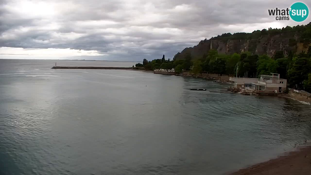 Webcam Bahía de Sistiana – Vista en directo del puerto deportivo y la costa