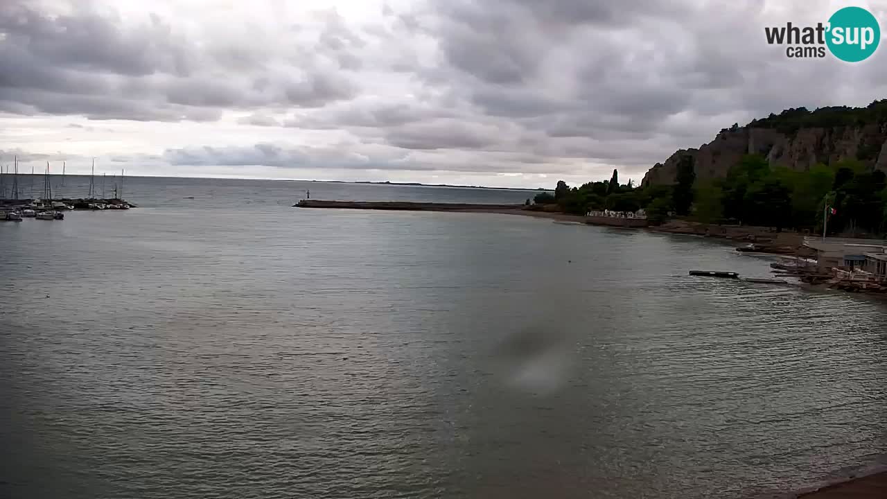 Spletna kamera Sesljanski zaliv – Pogled v živo na marino in zaliv