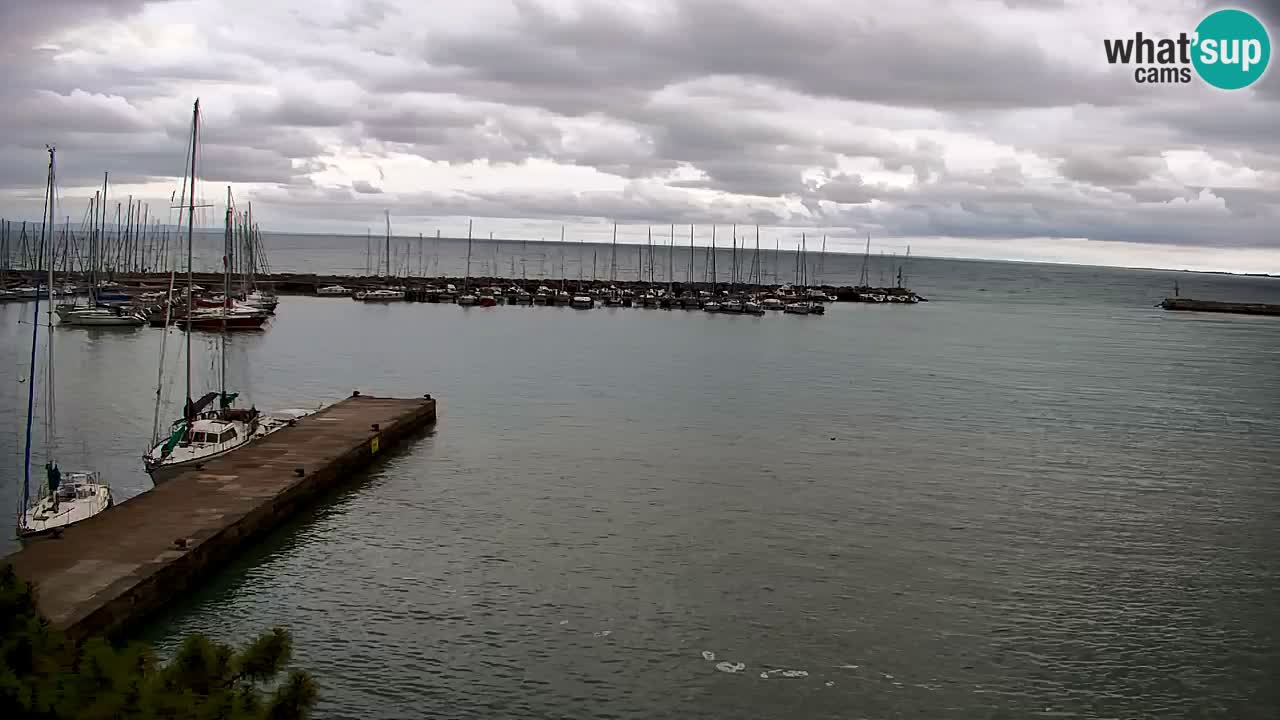 Webcam Sistiana Baia – Live View of the Marina and Gulf