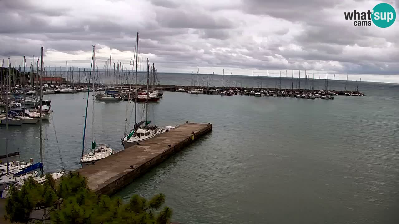 Webcam Sistiana Baia – Live View of the Marina and Gulf