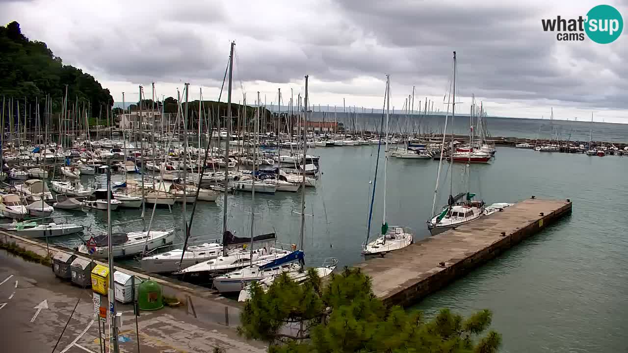 Webcam Sistiana Baia – Live View of the Marina and Gulf