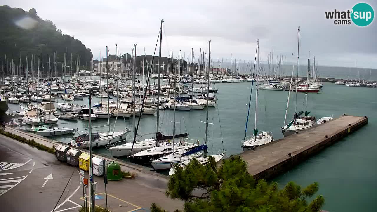 Webcam Sistiana Baia – Live View of the Marina and Gulf