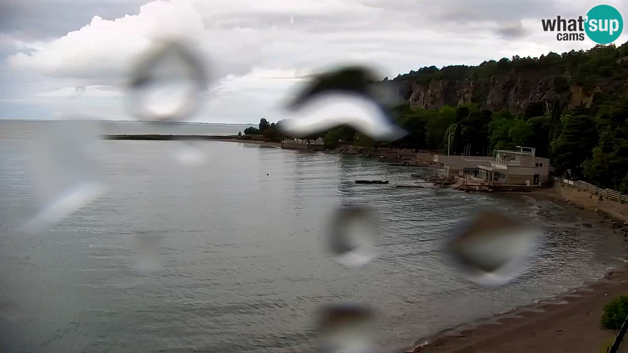 Webcam Sistiana Bucht – Liveblick auf Marina und Bucht